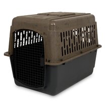 Dog carrier outlet for 30lb dog